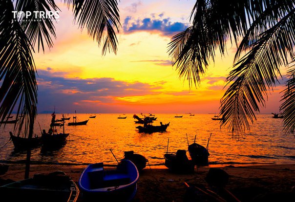 #Выгодное_предложение@toptrips