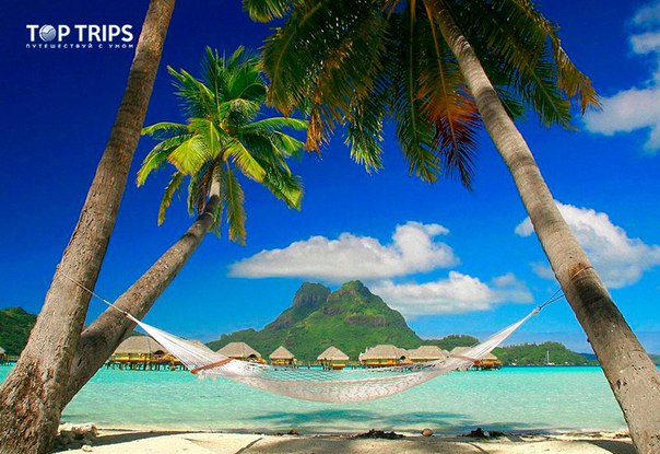 #Выгодное_предложение@toptrips