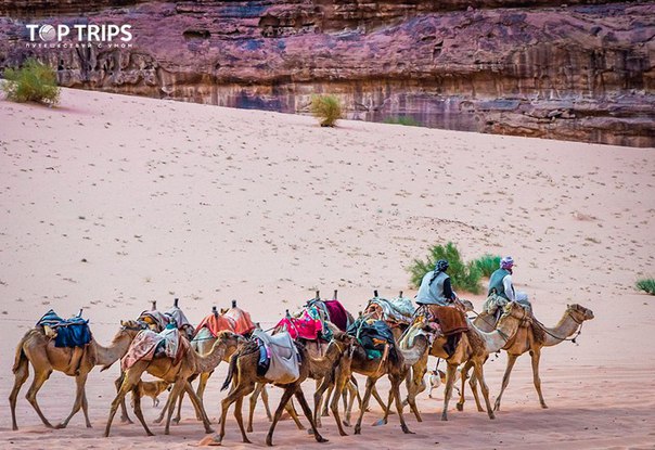 #Выгодное_предложение@toptrips