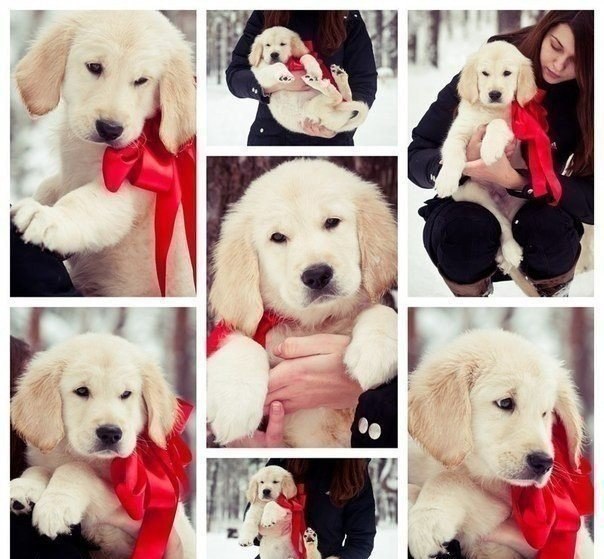 Самый лучший подарок.