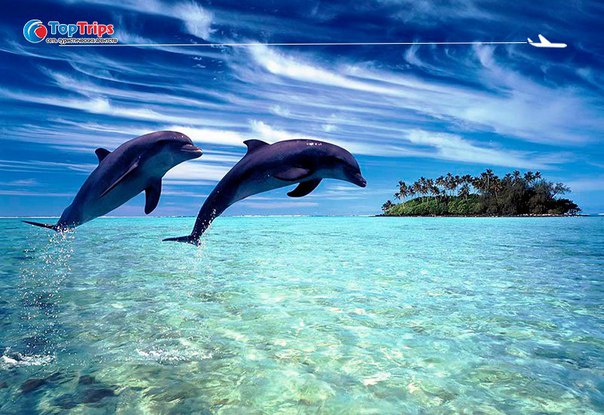 #Раннее_бронирование@toptrips