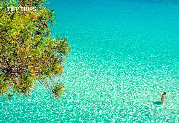 #Выгодное_предложение@toptrips