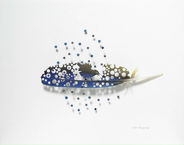 Chris Maynard создает невероятные картины из птичьих перьев - это похоже на настоящее волшебство. При помощи скальпеля он превращает материал в невероятные ажурные миниатюры, с множеством мелких деталей.