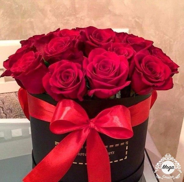 Цветы без повода - это всегда так приятно! 