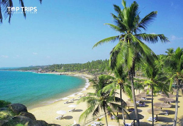 #Выгодное_предложение@toptrips