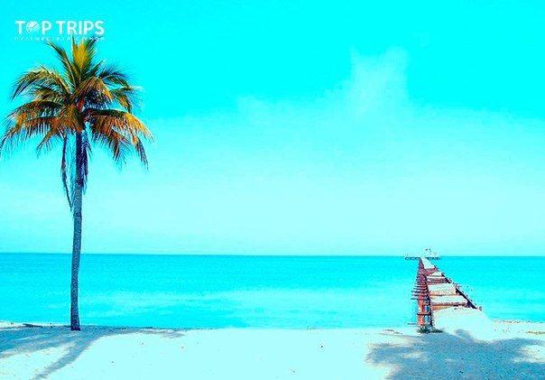 #Выгодное_предложение@toptrips