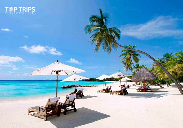 #Выгодное_предложение@toptrips