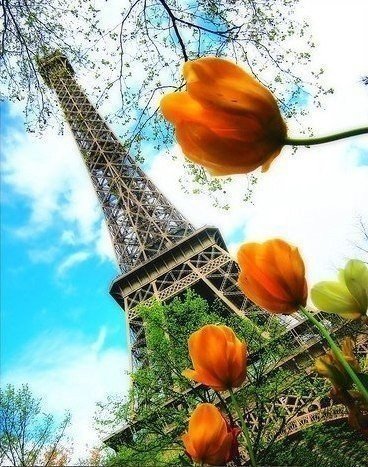 Хочу в город любви