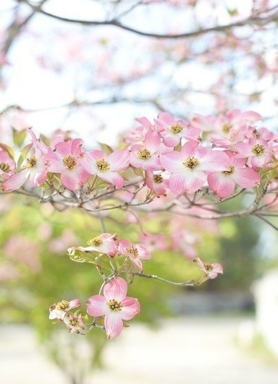 вдохновение ...