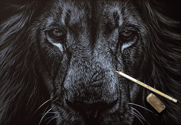 Художник-самоучка Ричард Симондс (Richard Symonds) в течение нескольких десятков лет работал над своей техникой рисования и в итоге довёл её до совершенства. Чаще всего Симондс изображает диких животных, чтобы собрать средства для зоозащитных организаций. 