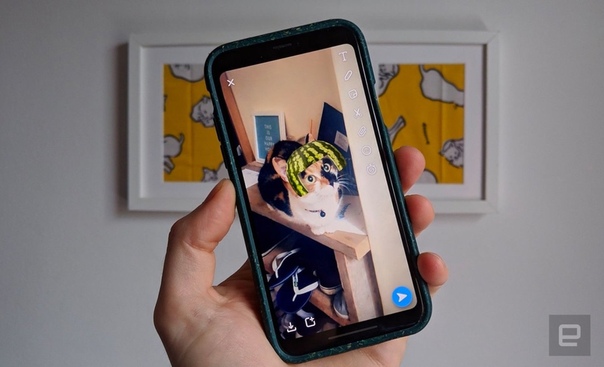 Новости из мира hi-tech: фильтры Snapchat теперь могут распознать вашу кошку