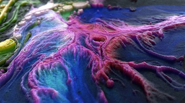 Ли Григс (Lee Griggs) – 3D-художник из Мадрида, создающий красочные объемные ландшафты, напоминающие пейзажи, которые можно встретить, пожалуй, только на дне моря или океана. В своей работе художник использует 3D-анимацию, специальные программы, среди которых Maya XGen и Arnold. Все арт-объекты, созданные Григсом, состоят из бесчисленных мелких кубиков, цилиндров и других миниатюрных цветных элементов, объединенных в цельные самодостаточные композиции.