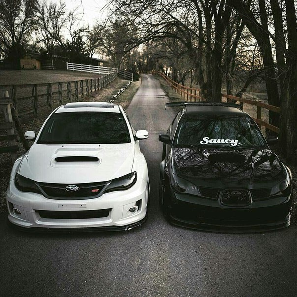 Белая или черная