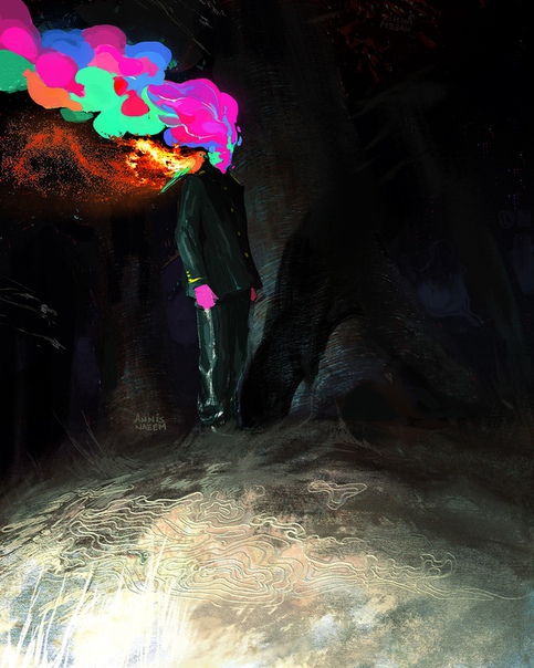 Plumehead & Comet by #AnnisNaeem