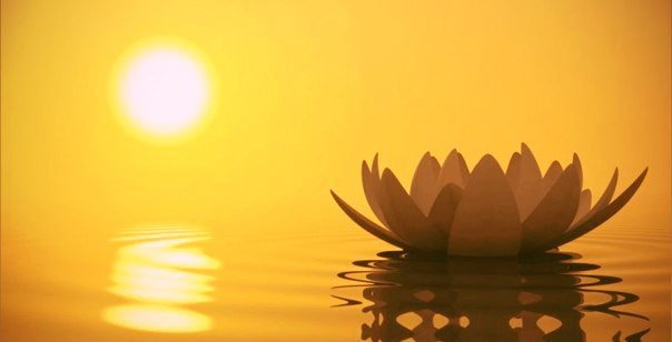 Кто-то говорит: нас лечит время... Нет, всё обстоит не так — нас лечат уединение, сила воли и умение анализировать жизненные события. Мы исцеляем себя сами!