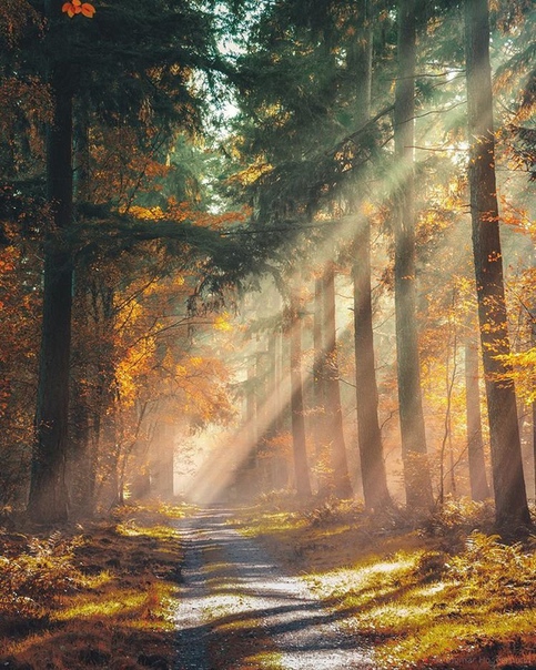 Самый лучший способ не разочароваться — ничего ни от кого не ждать.