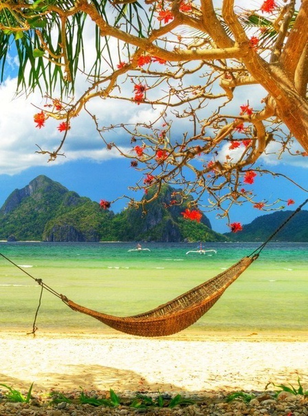 Мечты обязательно сбудутся, но чтобы ускорить этот процесс - шагай к ним каждый день навстречу