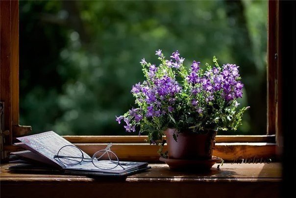 Не учите других, не старайтесь их изменить. Достаточно уже того, что вы изменитесь сами - это и будет вашим посланием.