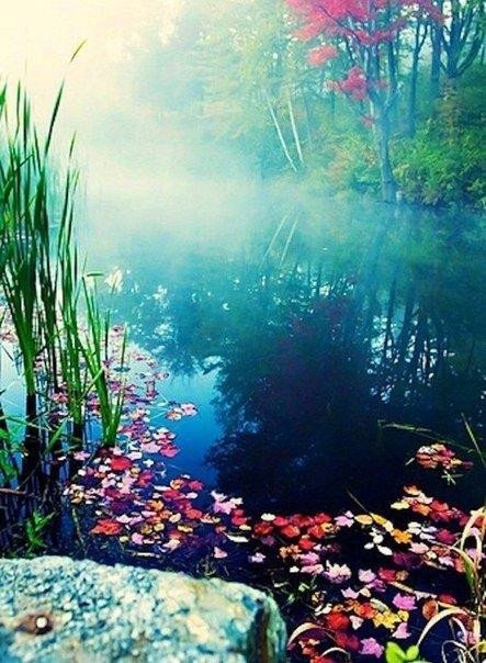 У каждой случайности есть своя цель, у каждого случая есть свой смысл.