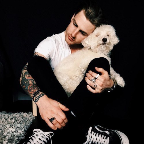 Если у тебя есть домашний питомец - ставь лайк!