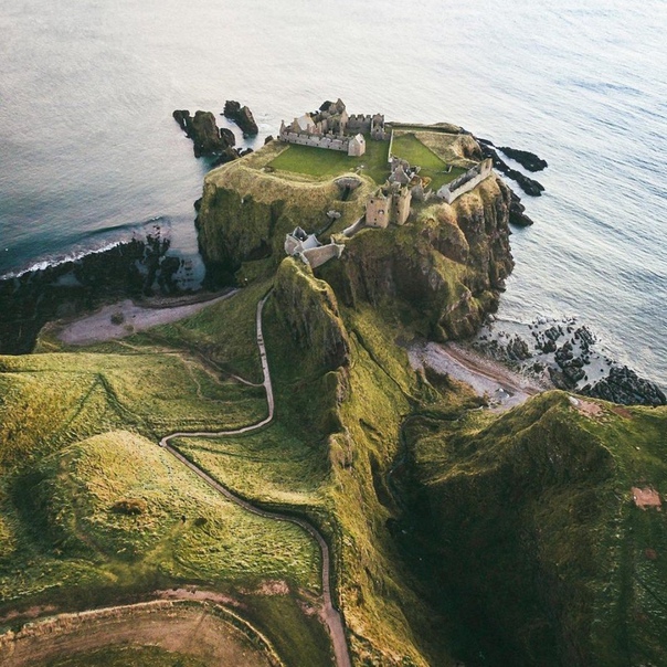 Природа может всё и всё творит.