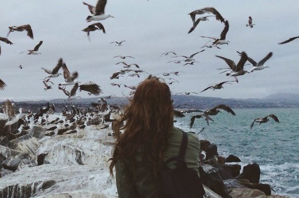 Мы по собственной воле навеки