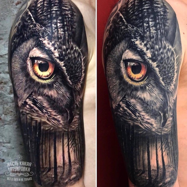 Свежая vs. Зажившая