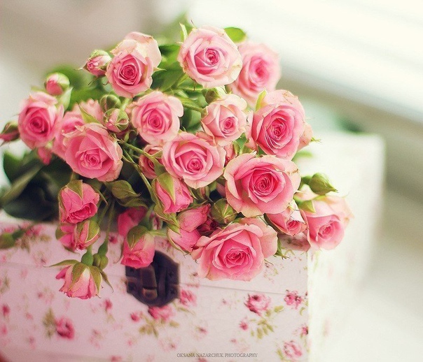 Дарите женщинам цветы!