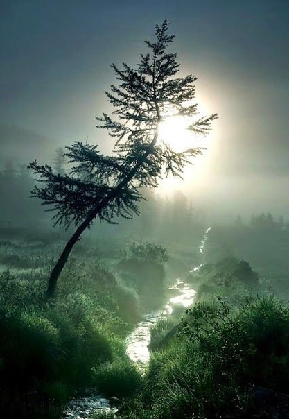 Попробуйте не жаловаться, а наслаждаться моментом.