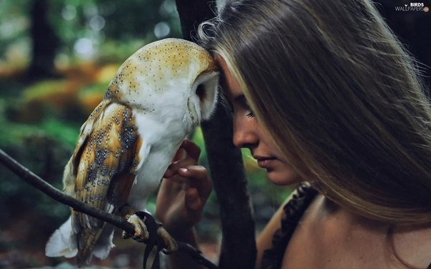 Семья сохраняется до тех пор, пока этого хочет именно женщина. Вот сколько времени она сможет вытерпеть, вытянуть, выдюжить, столько времени и просуществует семья. Лопается брак тогда, когда лопается женское терпение