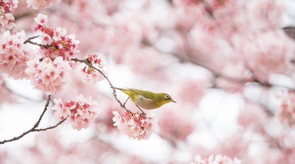 Найди покой в своей душе, всё остальное само найдёт тебя
