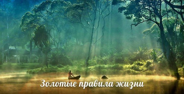 Грехи других судить