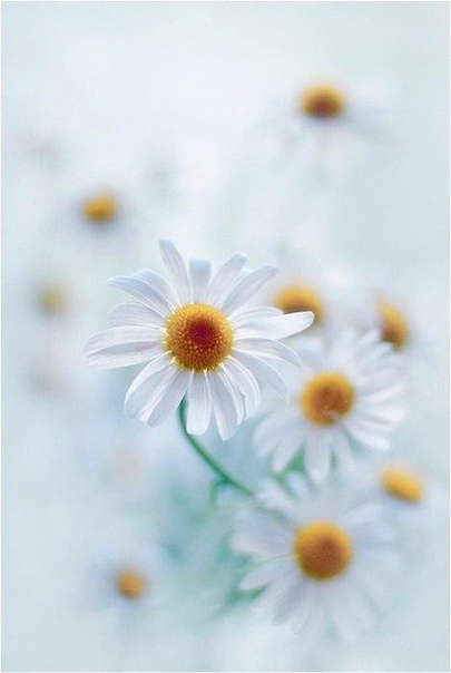 Покажи ей, что она самая нужная, и увидишь что она самая нежная.