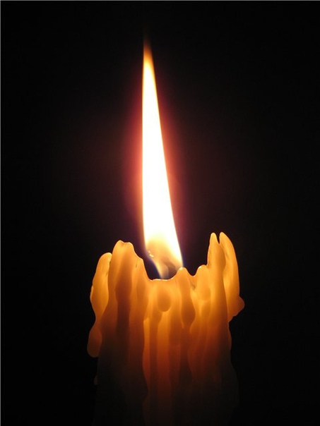 На 81-м году жизни скончался советский и российский певец, народный артист СССР, депутат Государственной думы Иосиф Кобзон. Все, что он исполнял, сразу становилось хитами — и в советские времена, и в последние десятилетия. 