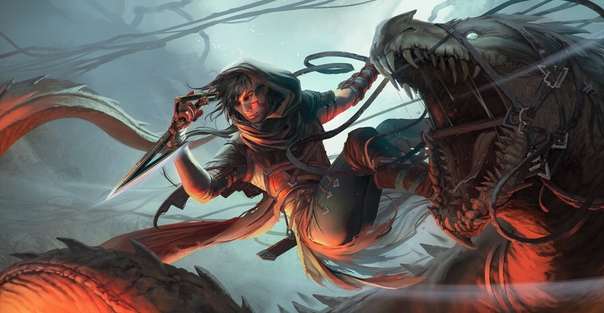 DR: Hunt by #MagdalenaRadziej