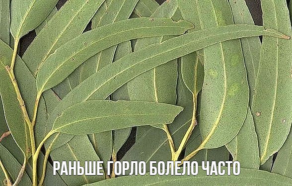 Раньше горло болело часто