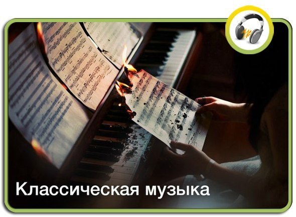 Прекрасные звуки классической музыки приводят все вокруг в состояние полной гармонии и спокойствия  