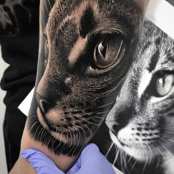 Просто супер 