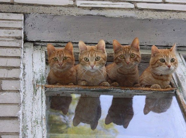 Придумайте название к фото! Можно стихами! 