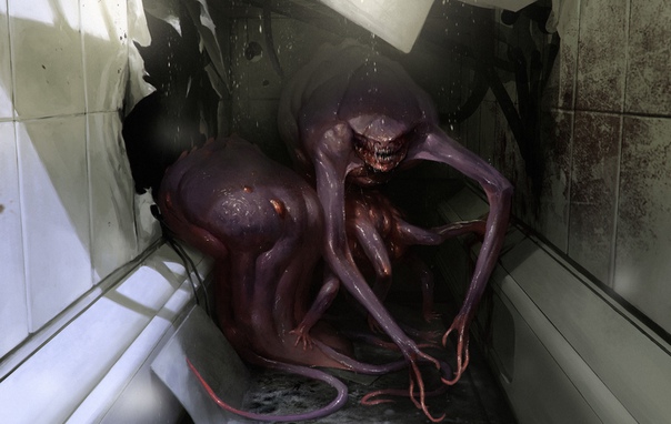 by #AlejandroMirabal