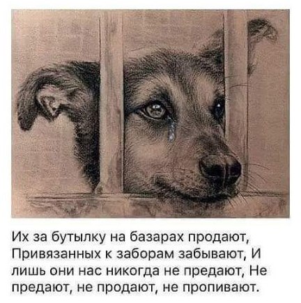 Пока человек чувствует боль — он жив. 