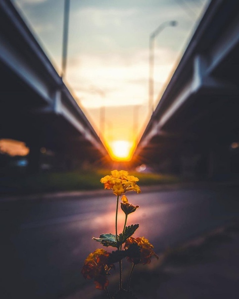 «Умейте встать на позицию другого человека и понять, что нужно ЕМУ, а не вам. С тем, кто сумеет это сделать, будет весь мир.»