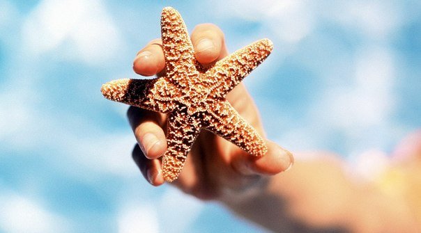 Только привыкнешь к хорошей жизни, а она опять становится лучше :)