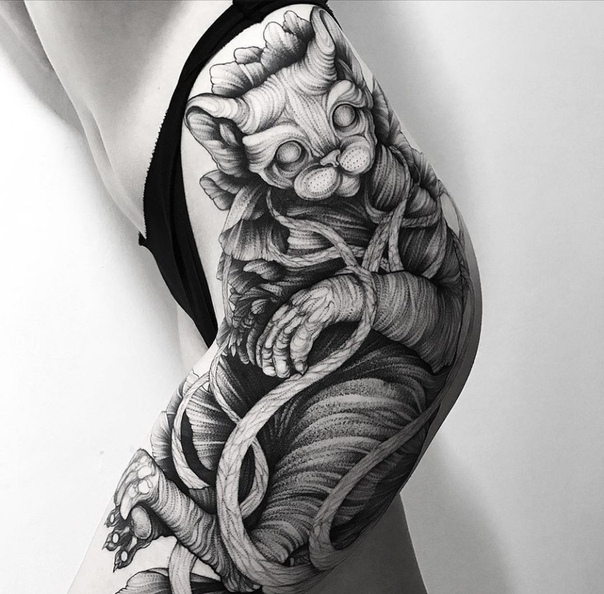 Отлично забитые бедра!