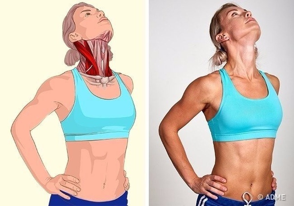 Изображения, которые наглядно покажут, какие мышцы вы растягиваете!