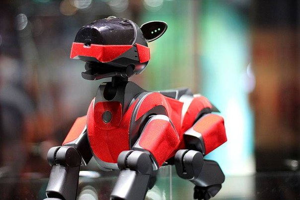 Компания Sony в следующем году выпустит домашнего робота-питомца