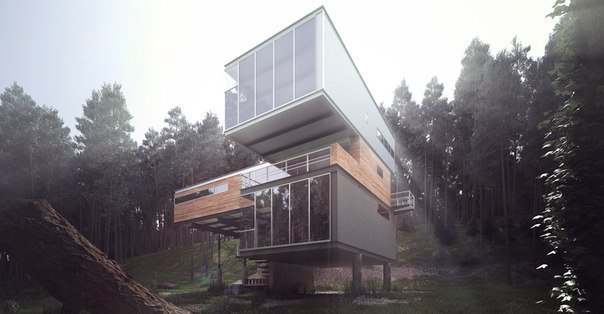 Modern Cabin In The Forest - Wonder Vision
