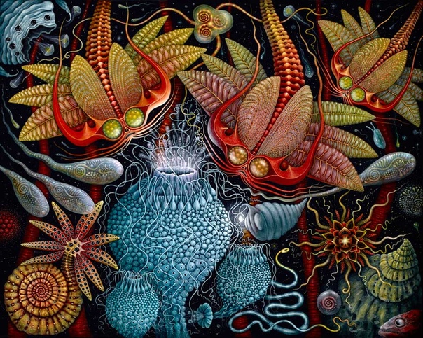Художник из Лос-Анджелеса Роберт Коннетт (Robert S. Connett) пишет детализированные картины микроорганизмов, насекомых и морских обитателей.