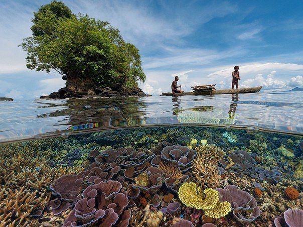 Кристально чистая вода, Папуа — Новая Гвинея