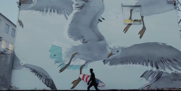 «Сансара» выпустили клип о моржующем серфере: 